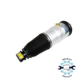 Comprar Amortiguador neumático de MiesslerAutomotive 11222-01-00-C a bajo precio de 729,65 €