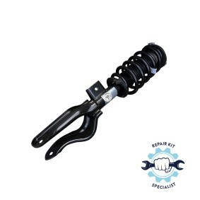 Acquista Ammortizzatore pneumatico da MiesslerAutomotive 11234-01-00-F a buon mercato per soli 541,79 €