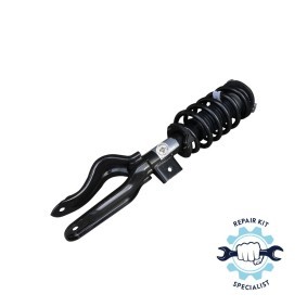 Acquista Ammortizzatore pneumatico da MiesslerAutomotive 11235-01-00-F a buon mercato per soli 541,79 €