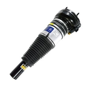 Acquista Ammortizzatore pneumatico da MiesslerAutomotive 1134-01-39AN a buon mercato per soli 593,45 €