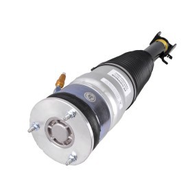 Comprar Amortiguador neumático de MiesslerAutomotive 1921-01-6351 a bajo precio de 568,88 €