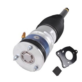 Acquista Ammortizzatore pneumatico da MiesslerAutomotive 1922-01-6352 a buon mercato per soli 573,58 €