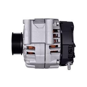 Lichtmaschine 8EL 015 630-961