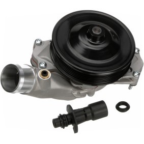 Achetez des Pompe à eau GATES WP0282 à prix pour 119,85 €