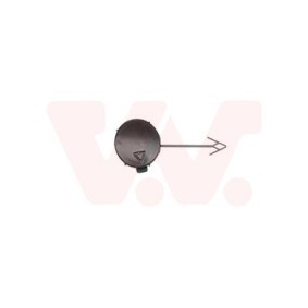 Klappe, Abschlepphaken 5862587