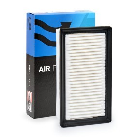 Luftfilter CAF101214P