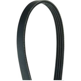 Achetez des Courroie Poly-V HERTH+BUSS JAKOPARTS J1040816 à prix pour 7,99 €