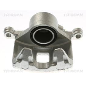 Bremssattel 8175 24109
