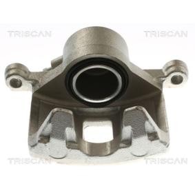 Bremssattel 8175 24110