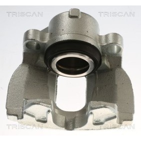Bremssattel 8175 82101