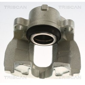 Bremssattel 8175 82102