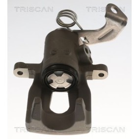 Bremssattel 8175 82201