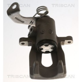 Bremssattel 8175 82202