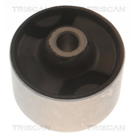 Lagerung, Lenker von TRISCAN