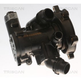 Kühlwasserthermostat von TRISCAN