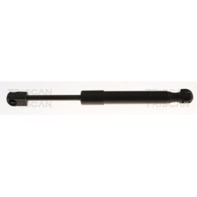 Compre Maletero de TRISCAN online para MX-5 IV (ND) a precios moderados