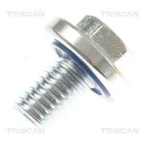 Acquista Vite di chiusura, vaschetta dell'olio da TRISCAN 9500 2407 a buon mercato per soli 5,16 €