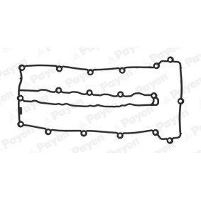 Comprar Junta, tapa de culata de cilindro de PAYEN JM7223 a bajo precio de 15,35 €