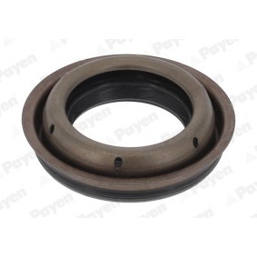 Wellendichtring, Differential NA5508