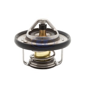 Achetez des Thermostat d'eau GK 701423 à prix pour 31,20 €