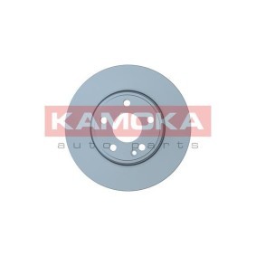 Bremsscheibe 103024