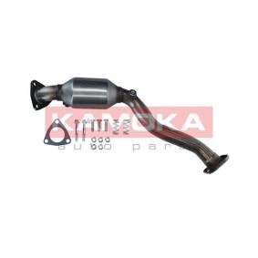 Katalysator 8015033