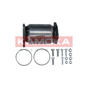 Katalysator 8015085
