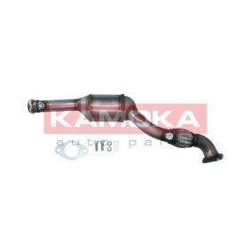 Katalysator 8015086