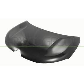 Motorhaube CI5273100