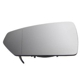 Spiegelglas, Außenspiegel 6102-01-1984310P