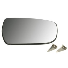 Spiegelglas, Außenspiegel 6102-16-1020311P