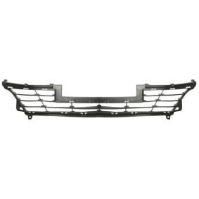 Kühlergrill 6502-07-6040910P