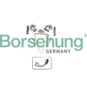 Compre Kit de distribuição da Borsehung B10242 a um preço baixo por 416,20 €