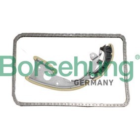 Compre Kit de distribuição da Borsehung B10247 a um preço baixo por 65,78 €