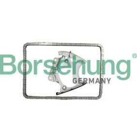 Compre Kit de distribuição da Borsehung B10250 a um preço baixo por 123,83 €