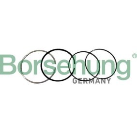 Köp Kolvringsats av Borsehung B10371 till det låga priset 347,81 kr