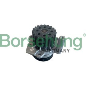 Achetez des Pompe à eau Borsehung B11212 à prix pour 50,32 €