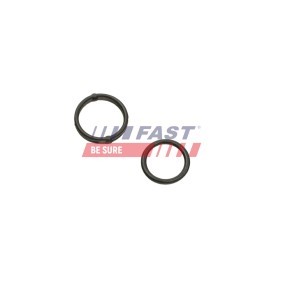 Ölleitung für Turbolader FT38520