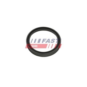 Dichtring, Ladeluftschlauch FT48956