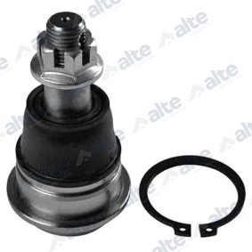 Acquista Testina braccio oscillante da ALTE AUTOMOTIVE online per MAXIMA QX (A33) a prezzi moderati