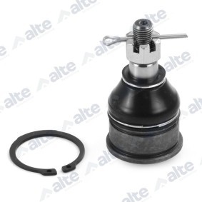 Acquista Testina braccio oscillante da ALTE AUTOMOTIVE 87163AL a buon mercato per soli 21,41 €