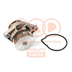 Achetez des Pompe à eau IAP QUALITY PARTS 150-50050 à prix pour 82,79 €