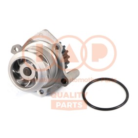 Achetez des Pompe à eau IAP QUALITY PARTS 150-50080 à prix pour 88,80 €