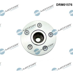 Compre Regulador do veio de excêntricos da DR.MOTOR AUTOMOTIVE DRM01576 a um preço baixo por 263,95 €