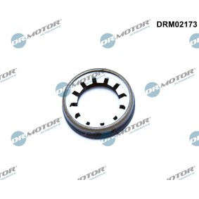 Wellendichtring, Differential DRM02173