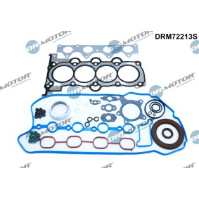 Dichtungsvollsatz, Motor DRM72213S