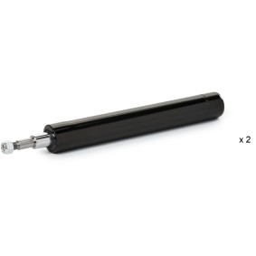 Stoßdämpfer von RIDEX für 100 (43, C2) günstig online kaufen