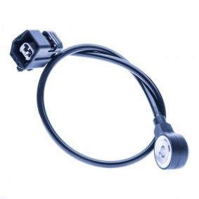 Comprar Sensor de detonaciones de EINPARTS EPS1438 a bajo precio de 46,43 €