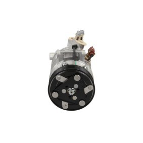 Acquista Compressore aria condizionata da BV PSH 090.305.021.905 a buon mercato per soli 501,11 €