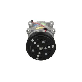 Klimakompressor 090.815.007.500 von BV PSH günstig für 403,09 € online kaufen